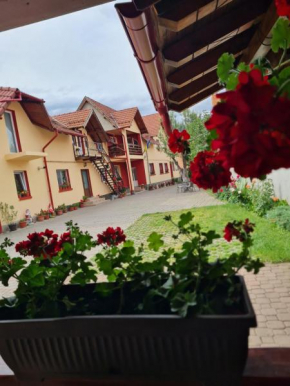 Vila Vlăduț